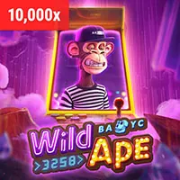 Điều khoản dịch vụ của ku casino